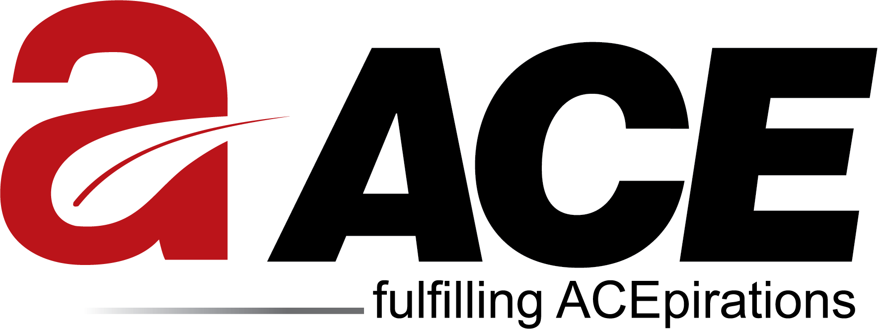 work/Ace_New_Final_LogoLogo.png